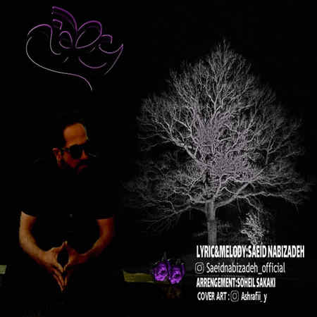 Saeid Nabizade Atefe Music fa.com دانلود آهنگ سعید نبی زاده عاطفه
