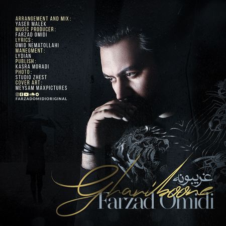 Farzad Omidi Ghariboone Music fa.com دانلود آهنگ فرزاد امیدی غریبونه
