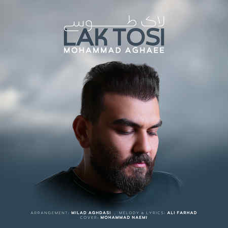 Mohammad Aghaei Lake Toosi Music fa.com دانلود آهنگ محمد آقایی لاک طوسی