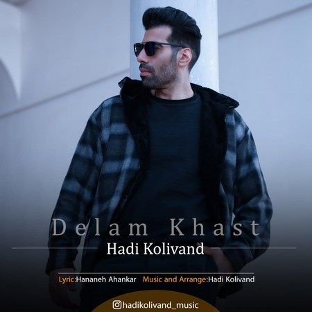 Hadi Kolivand Delam Khast Music fa.com دانلود آهنگ هادی کولیوند دلم خواست
