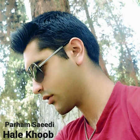 Parham Saeedi Hale Khoob Music fa.com دانلود آهنگ پرهام سعیدی حال خوب
