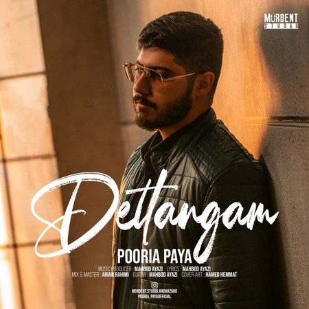 Pooria Paya Deltangam Music fa.com دانلود آهنگ پوریا پایا دلتنگم