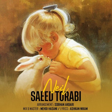 Saeed Torabi Neil Music fa.com دانلود آهنگ سعید ترابی نیل