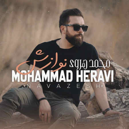 Mohammad Heravi Navazesh Music fa.com دانلود آهنگ محمد هروی نوازش