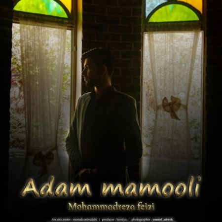 Mohammadreza Feyzi Adame Mamooli Music fa.com دانلود آهنگ محمدرضا فیضی آدم معمولی