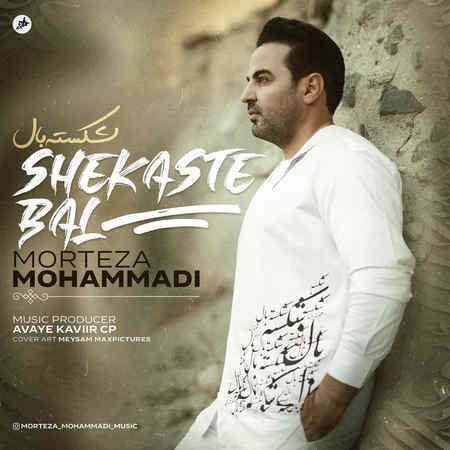 Morteza Mohammadi Shekaste Bal Music fa.com دانلود آهنگ مرتضی محمدی شکسته بال