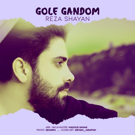 Reza shayan Gole Gandom Music fa.com دانلود آهنگ رضا شایان گل گندم